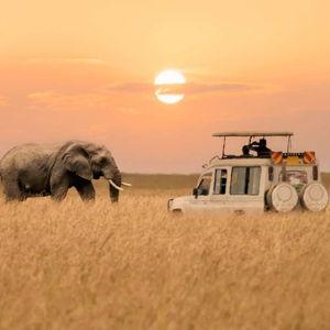 Our Africa Adventure