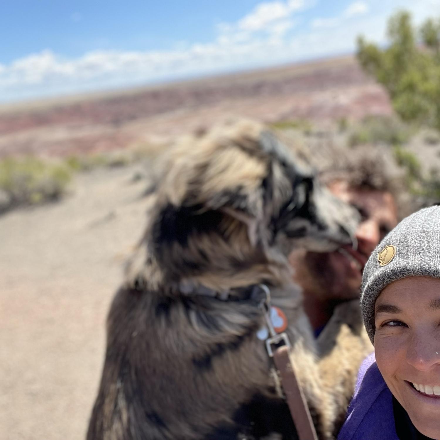 Painted Desert, Arizona 2022