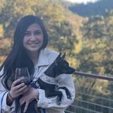 Picchetti Winery