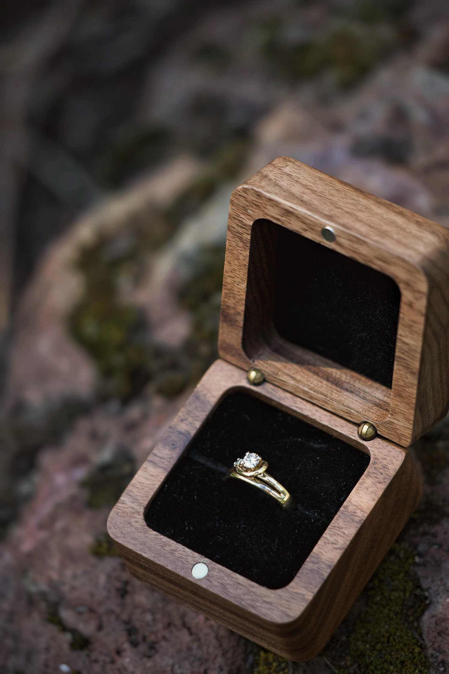 The Wedding Website of Taylor Peterson and David Thompson