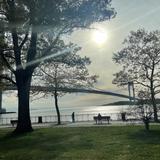 Shore Road Park and Parkway
