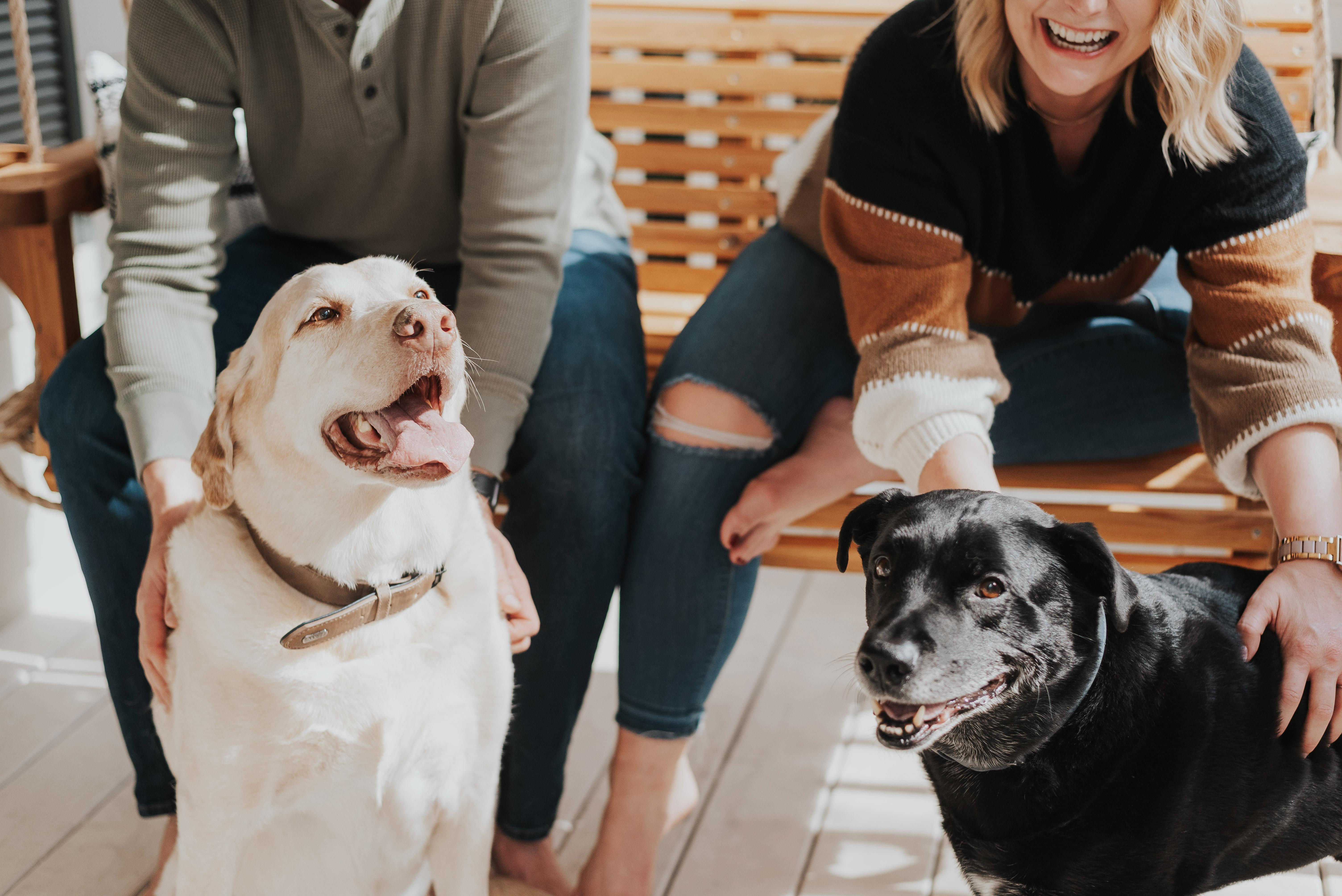 The Wedding Website of Abigail Horne and Adam Chambley