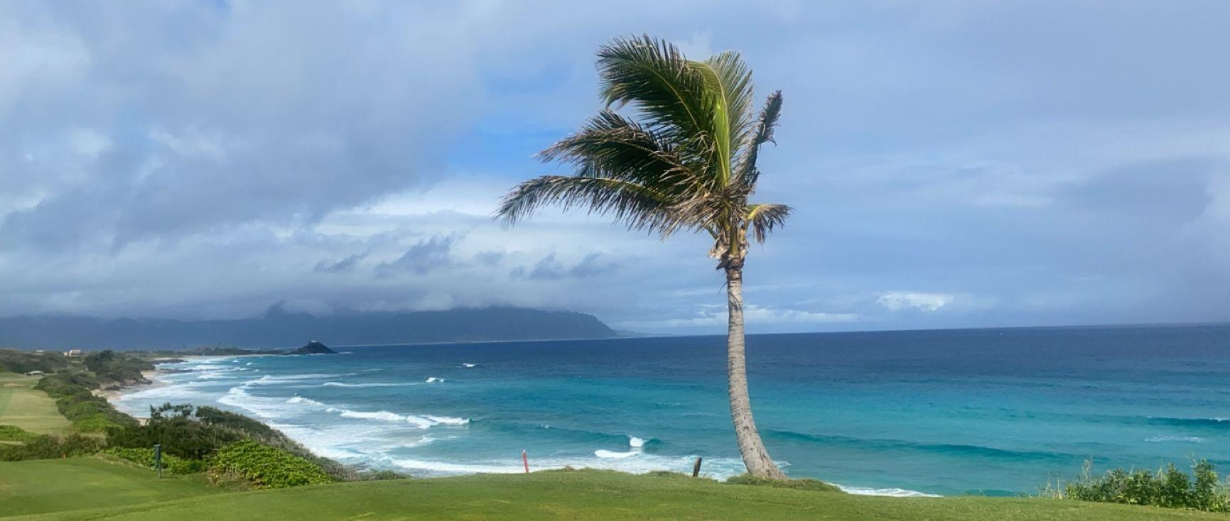 The Wedding Website of Aaliyah Sevier and Ryan Grogan