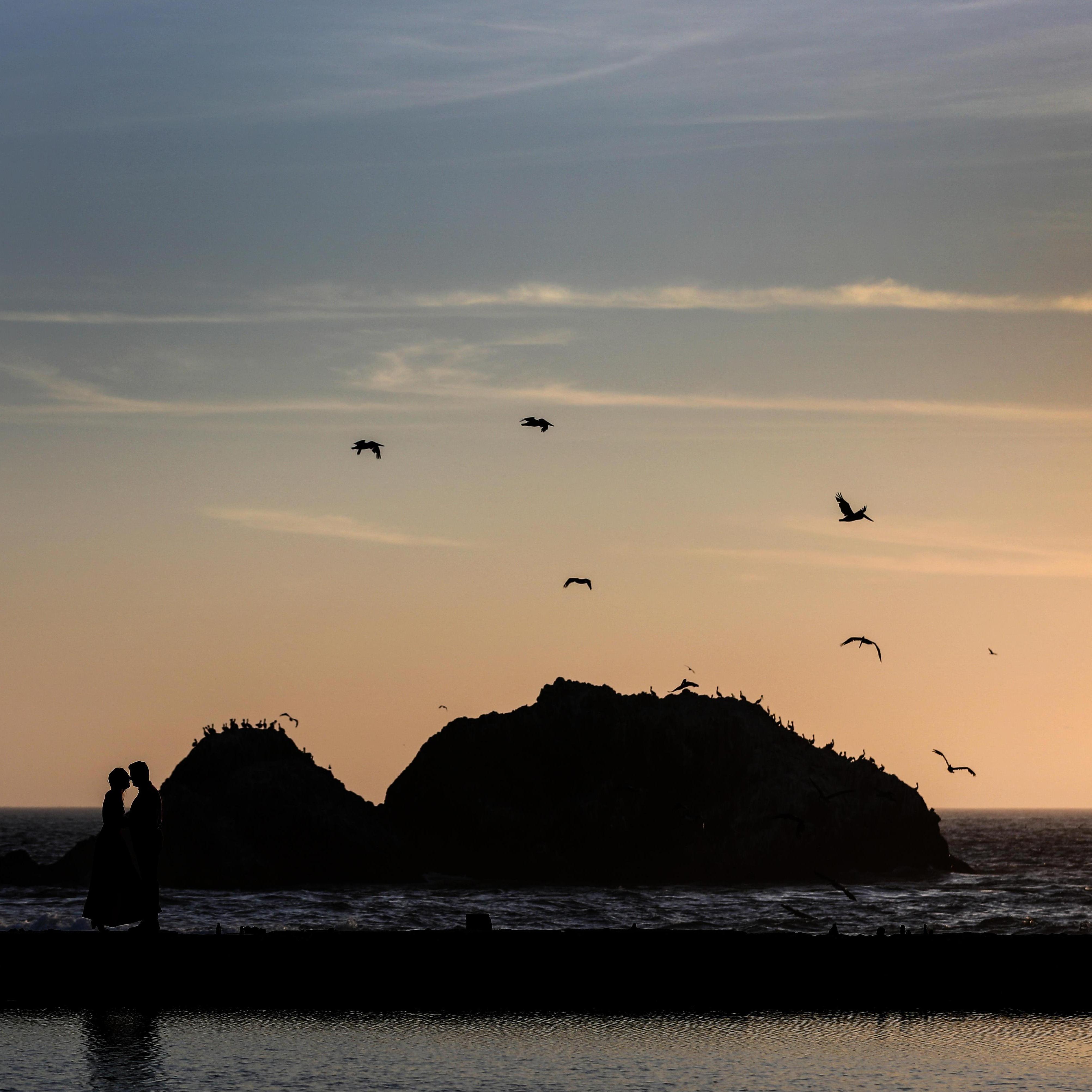 At Lands End in San Francisco, Spring 2020