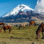 Volcán Cotopaxi
