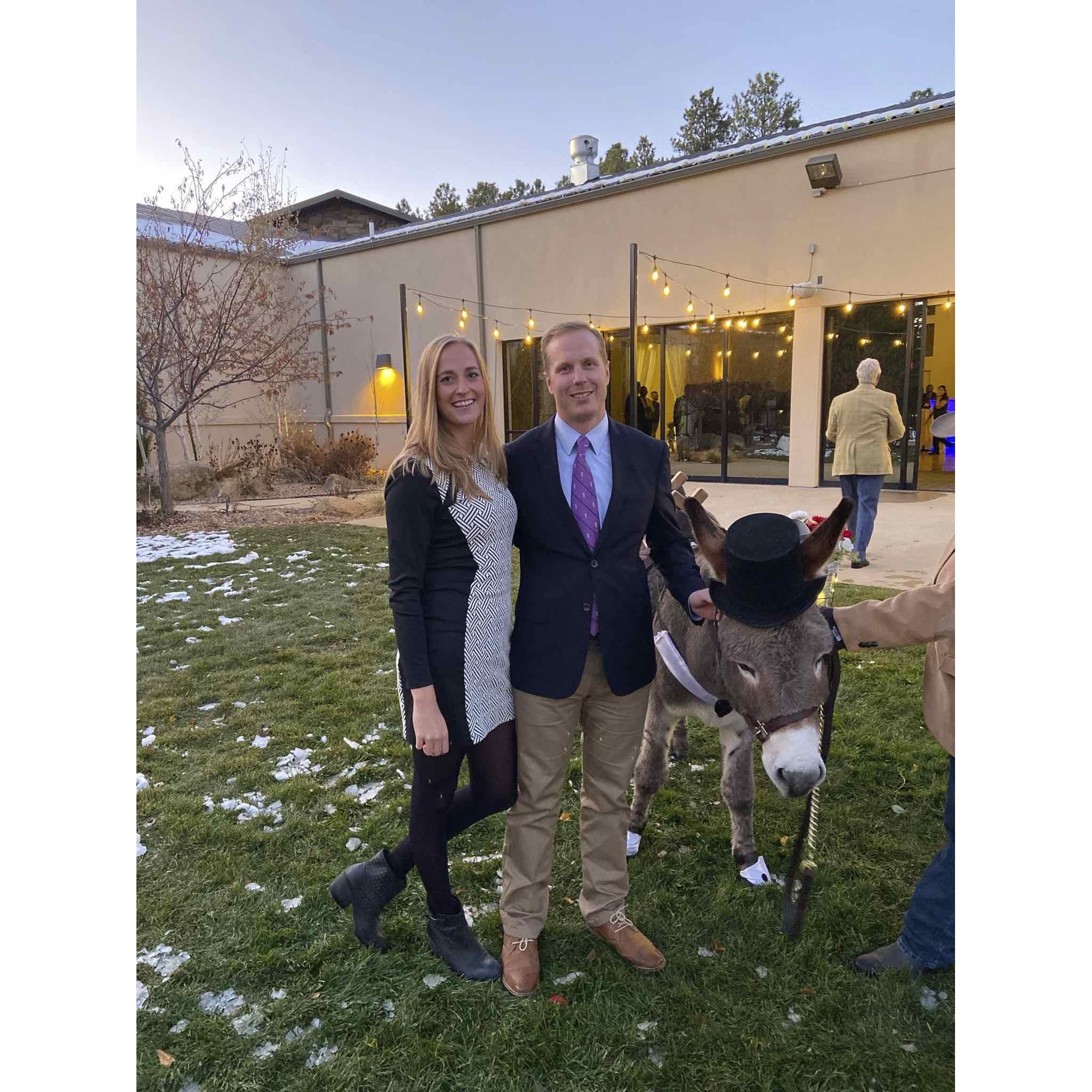 A wedding with a donkey- Colorado Springs, CO