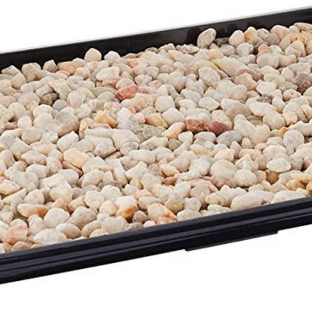 Brussel's 13" Humidity Tray with Decorative Rocks