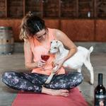 Goat Yoga at Maan Farms