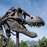 Museum of the Rockies