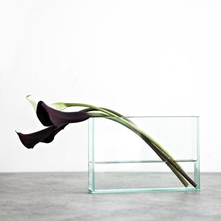 Vision Rectangle Vase