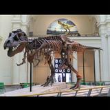 Museums