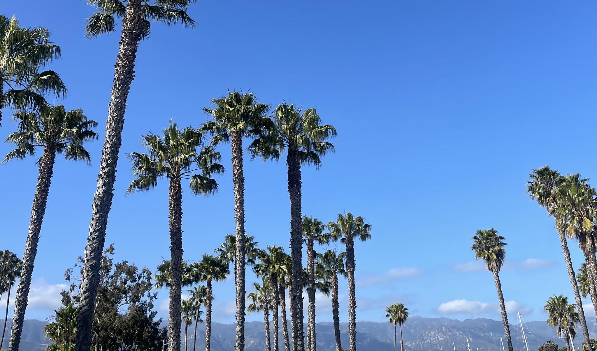 The Wedding Website of Sarah Powderly and David Mykrantz