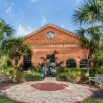 Georgia Sea Turtle Center