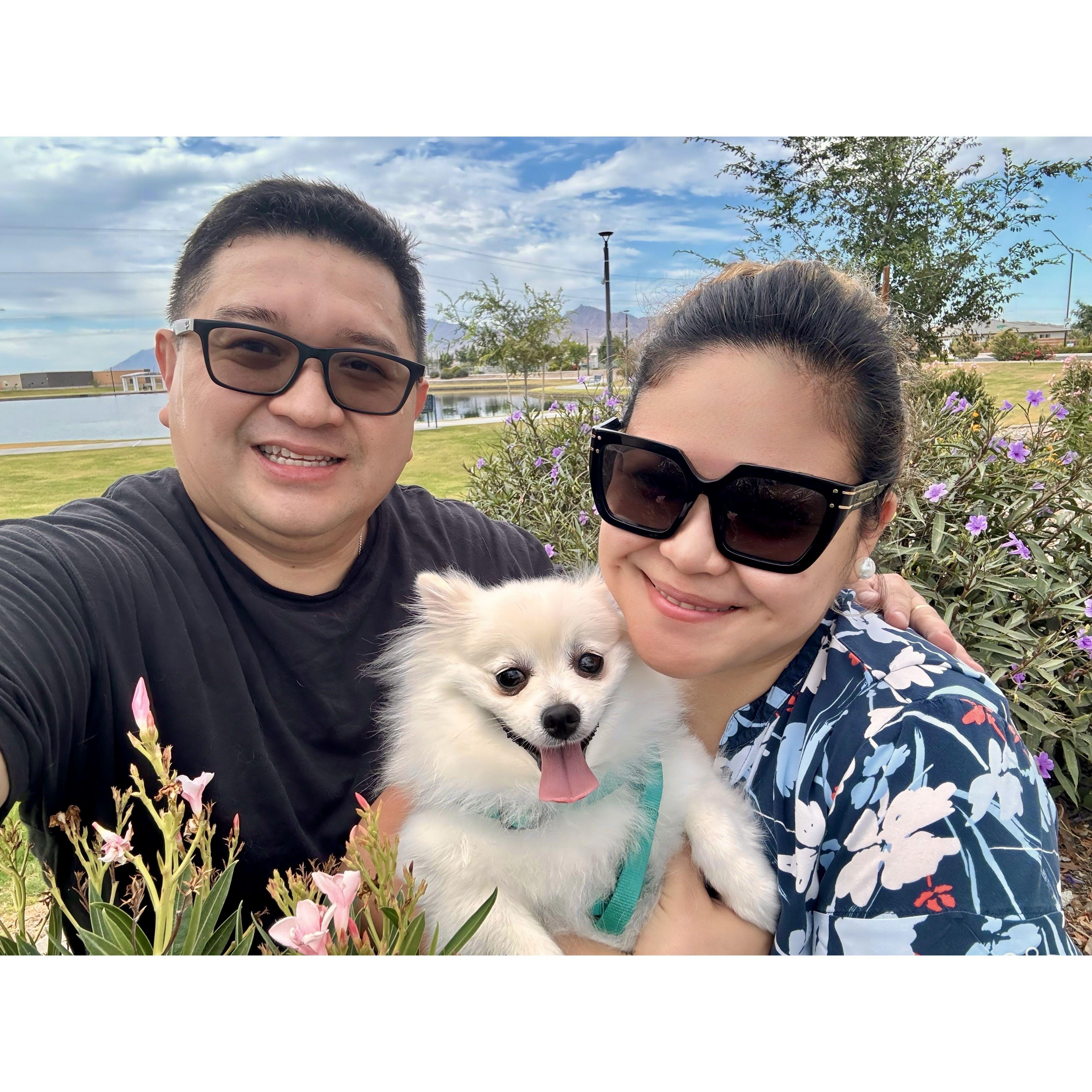 Walking our baby Somi in Arizona neighborhood