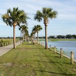 Pitt Street Bridge