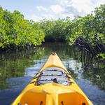 Gulf Coast Kayak (Kayaking, Kayak Rentals, Kayak Tours) )