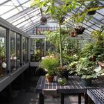University of California Botanical Garden