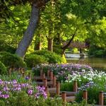 Missouri Botanical Garden