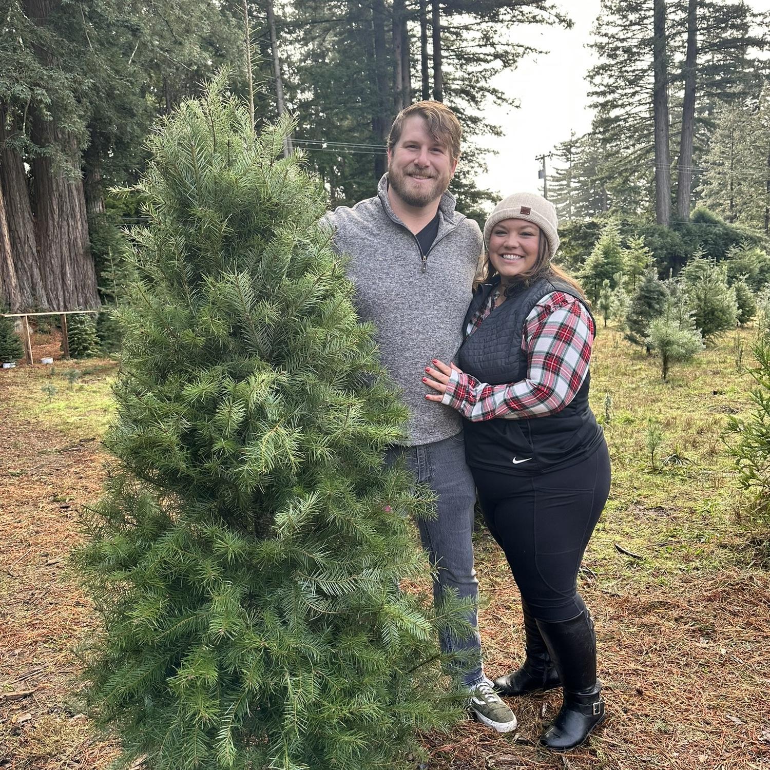 Christmas tree farm in Bonny Doon | December 2023 in Santa Cruz, CA