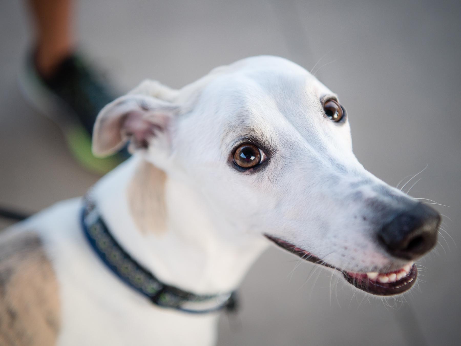 The Wedding Website of Shayna Starr and Tyler Durrin