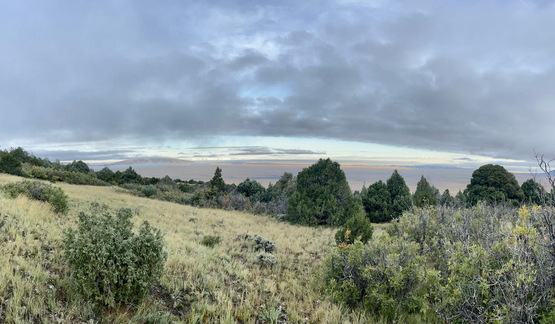 The Wedding Website of Jennifer Keel and Terry Marshall