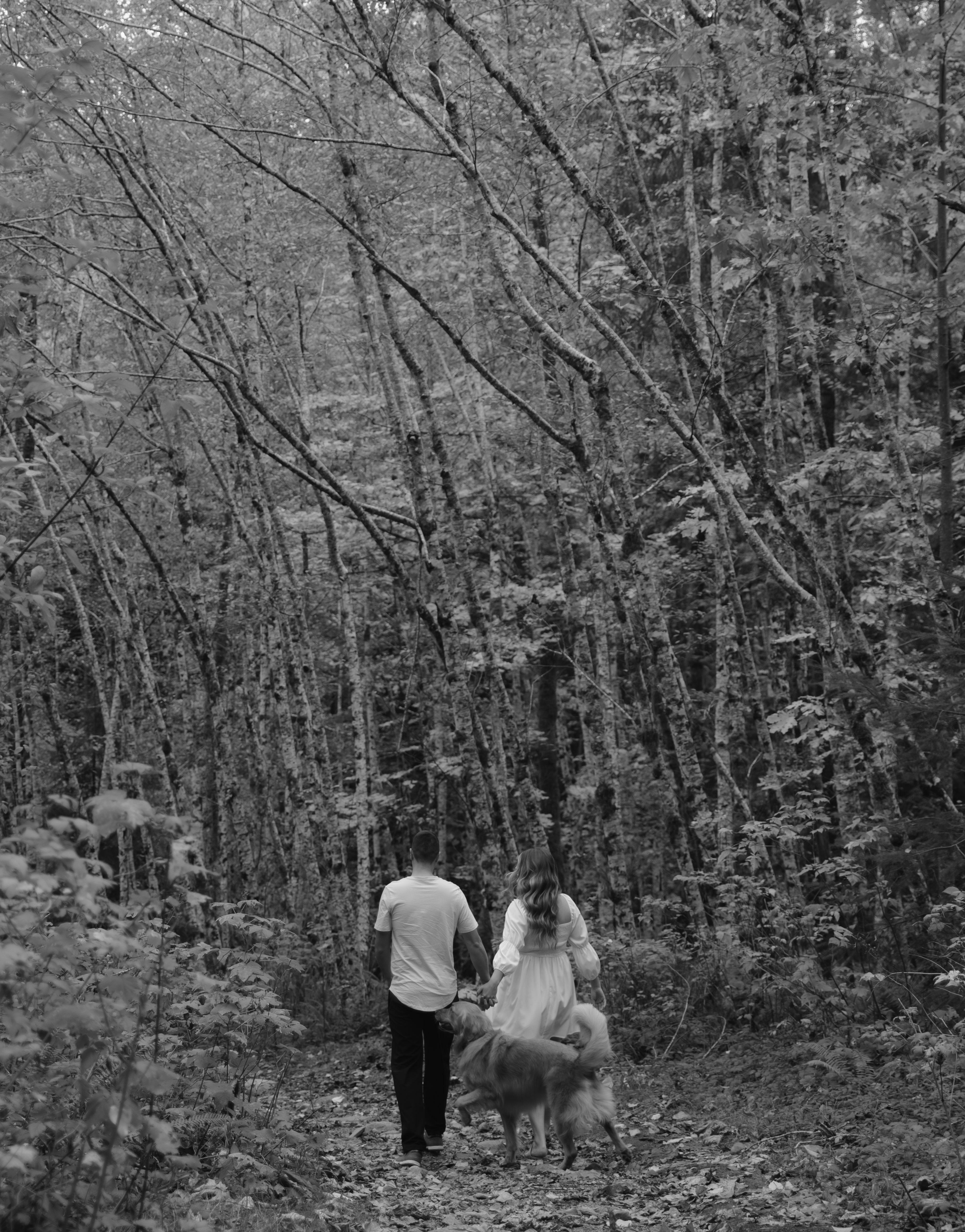 The Wedding Website of Jamie Vissia and Brody Paquette