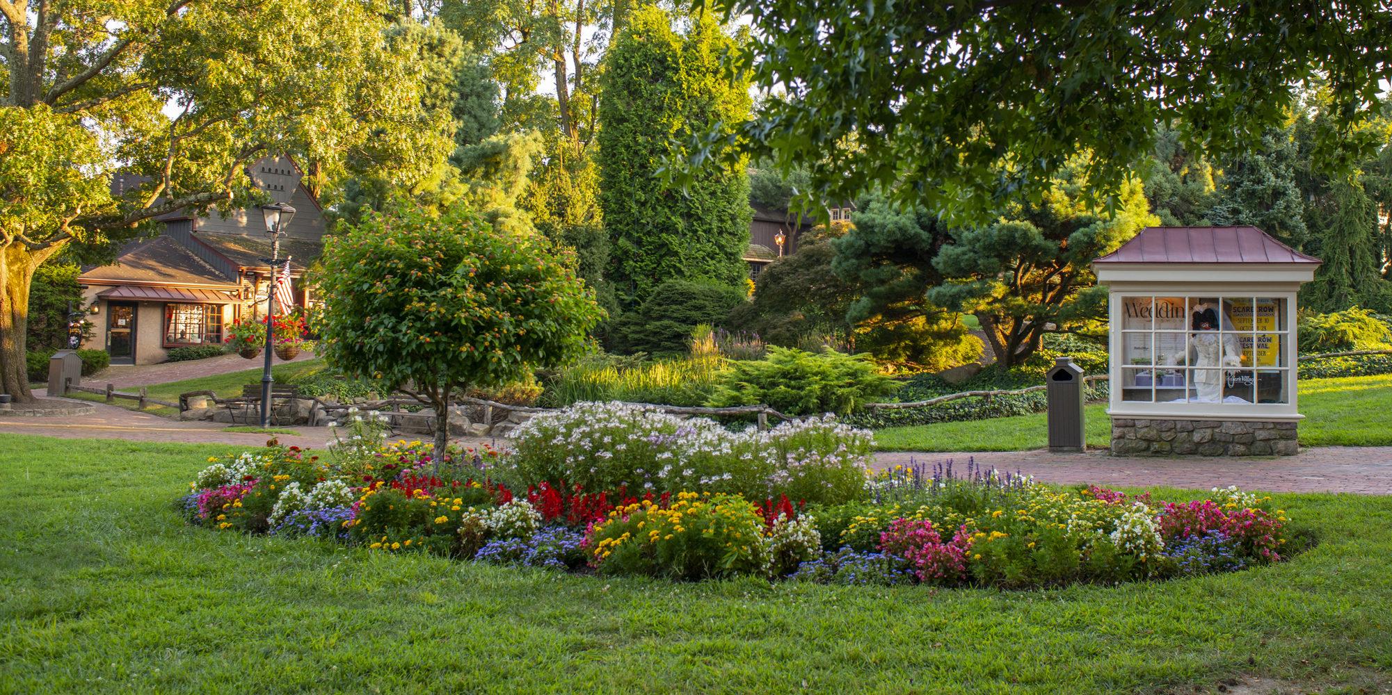 The Wedding Website of Allison Graul and Adam Samuel
