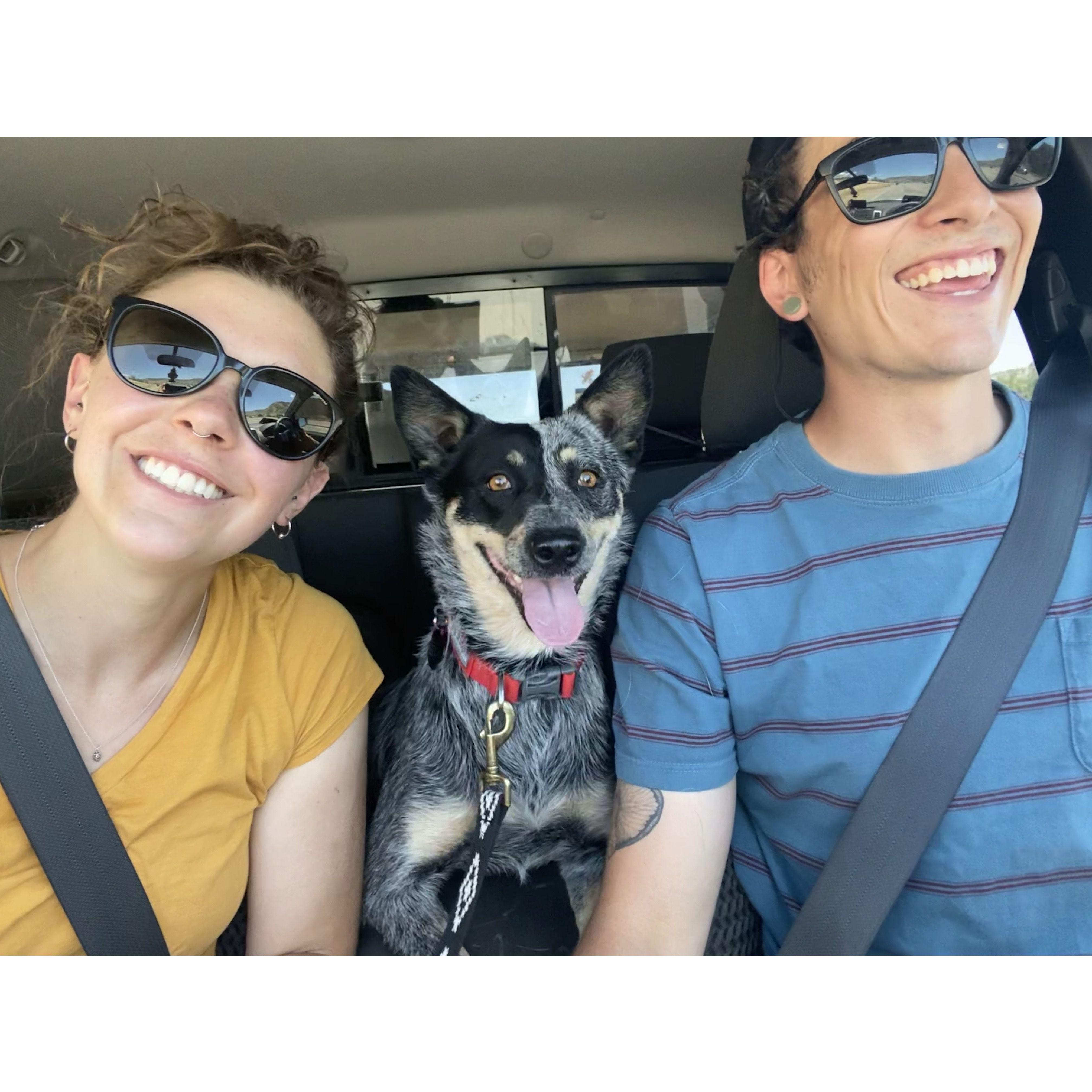 The day we adopted Dayla