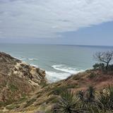 Torrey Pines State Natural Reserve