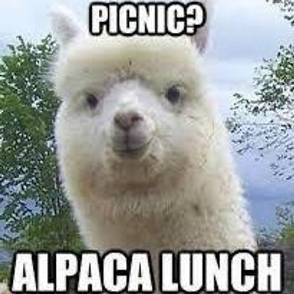 Honeymoon Beach Picnic