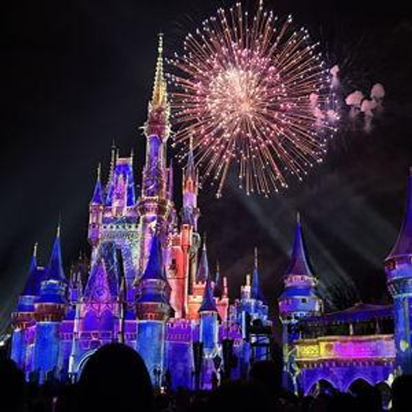 Take our grandson to Disney fund pay with cc