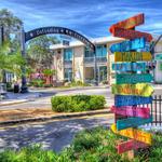 Explore Downtown Dunedin