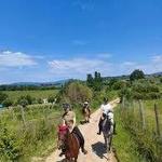 Horseback Riding Lessons And Tours At Le Roverelle