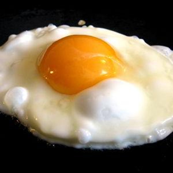 Simon's Egg Fund (Venmo)