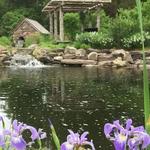 Bowman's Hill Wildflower Preserve