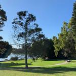 University of California, Santa Barbara