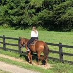 Stables At Brasstown Valley