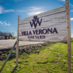Villa Verona Vineyard