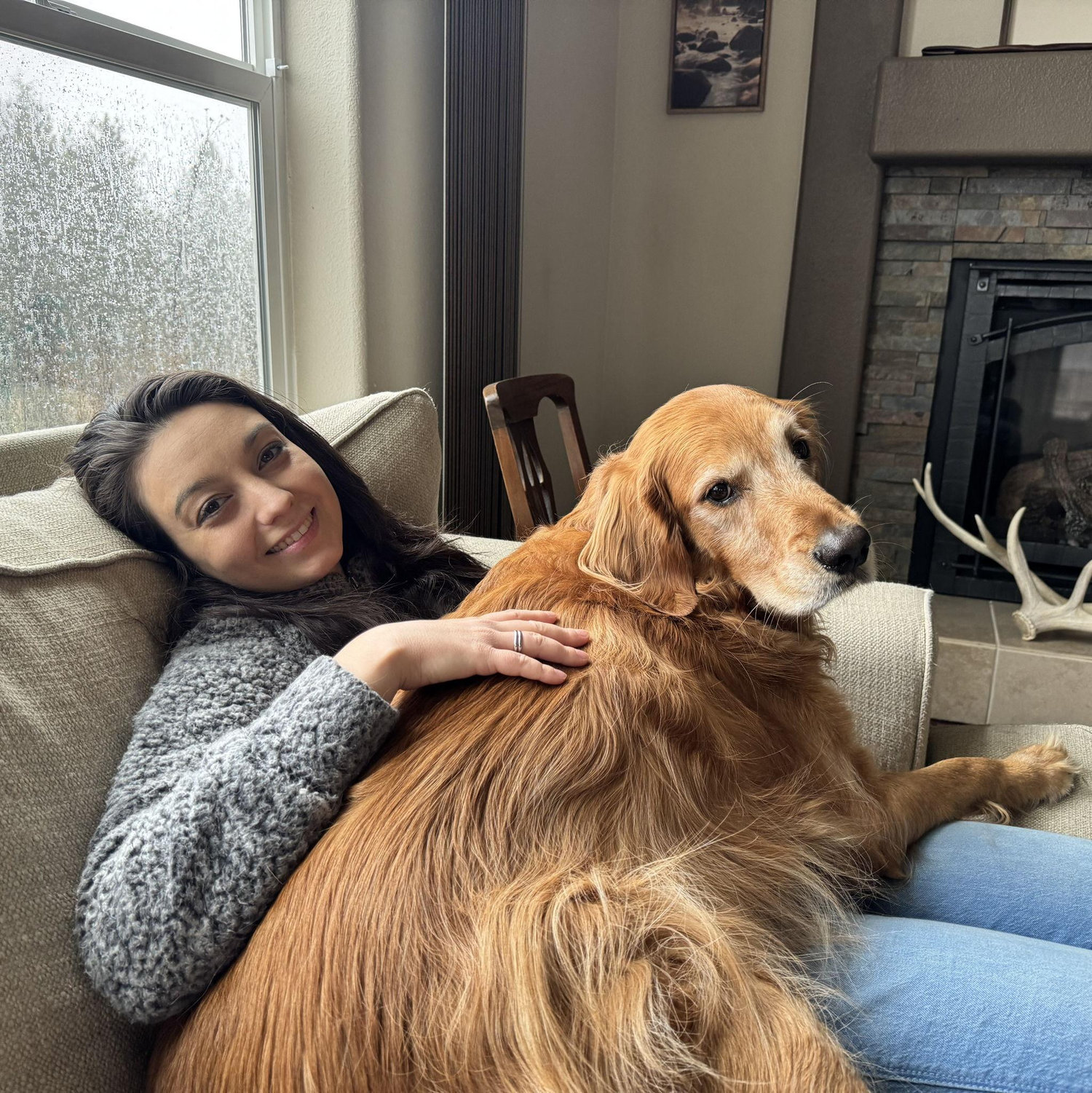 Dan's loves (Solo - Golden Retriever, chihuahua mentality)