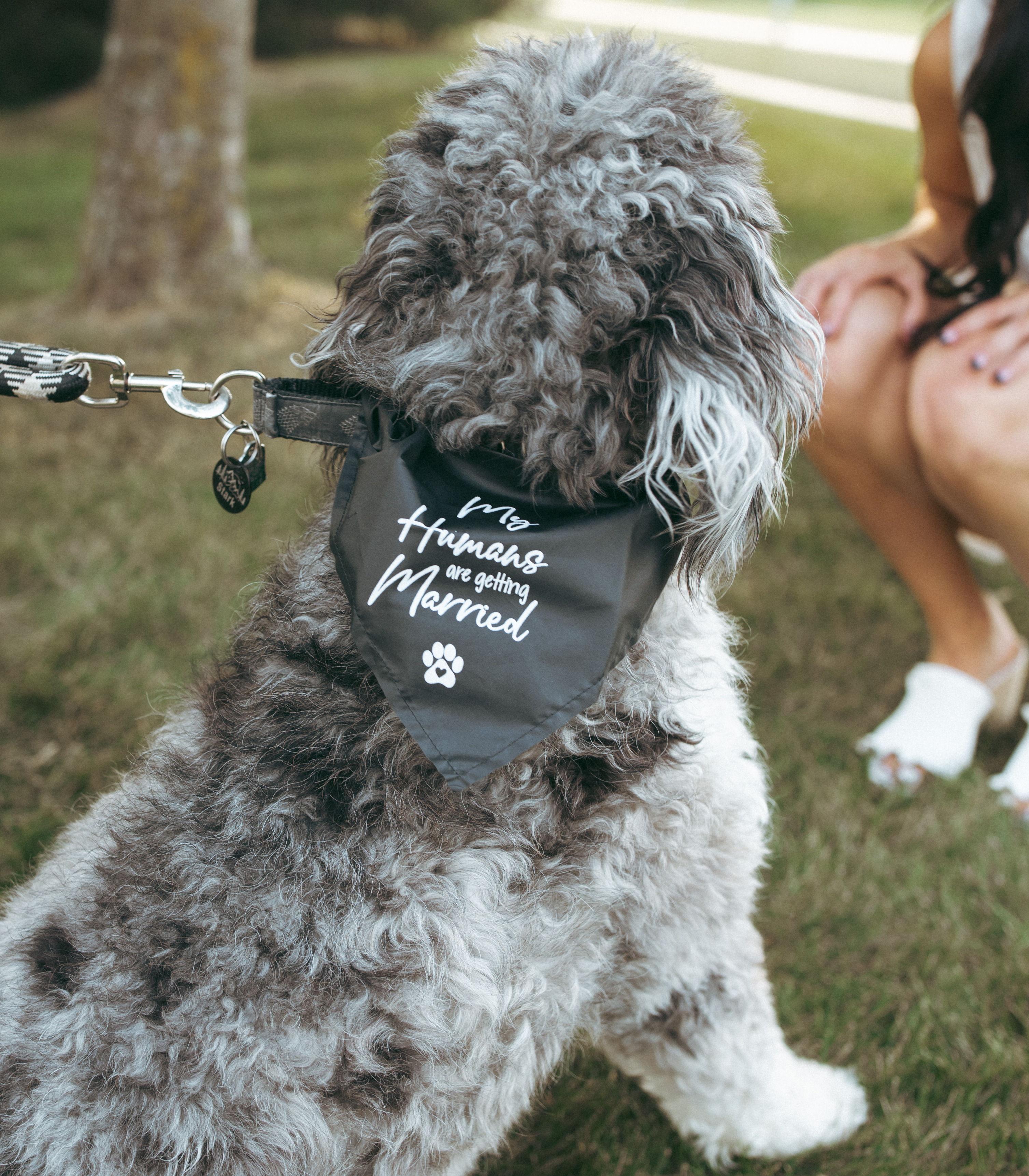 The Wedding Website of Paige Tomlinson and Tanner Erickson