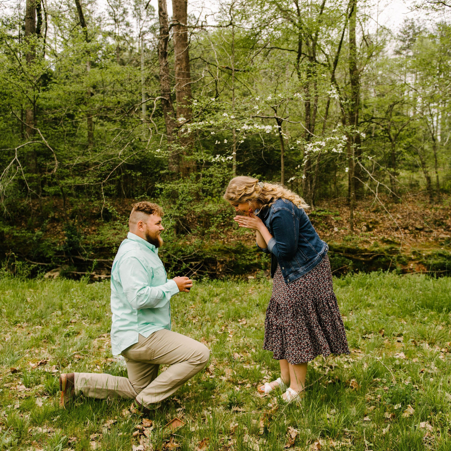The Proposal