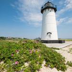 Lighthouse Beach & Edgartown Lighthouse