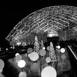 Missouri Botanical Garden