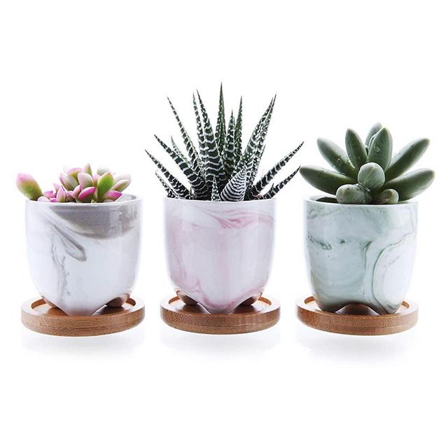 T4U 2.5 Inch Small Multi Color Ceramic Succulent Planter Pots with Bamboo Tray Set of 3, Marble Glazed Porcelain Handicraft as Gift for Mom Sister Best for Home Office Desk Windowsill Decoration