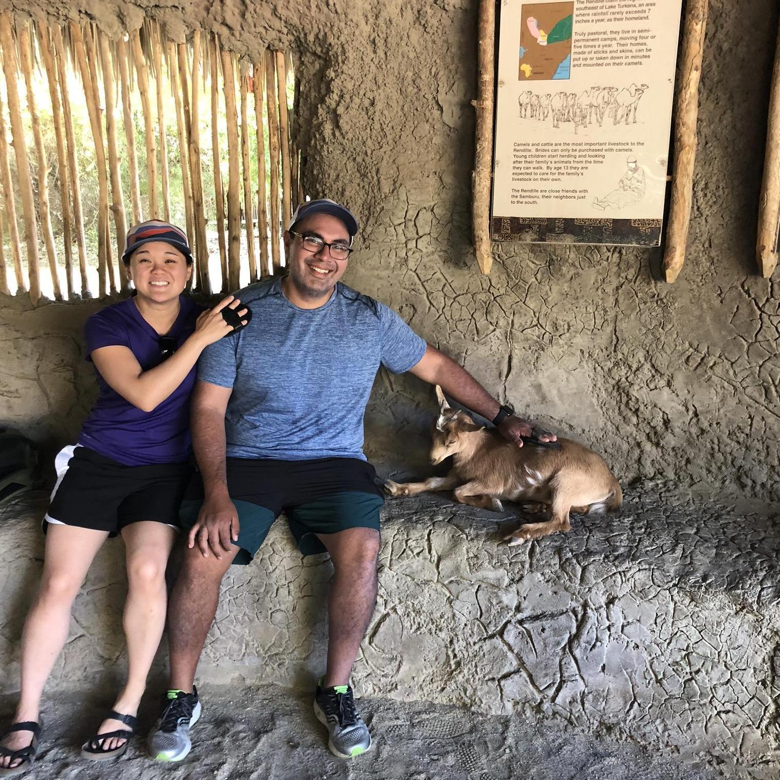 Jose is combing the goat, Jane is combing Jose. Everyone gets groomed!
