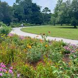 Hampton Park