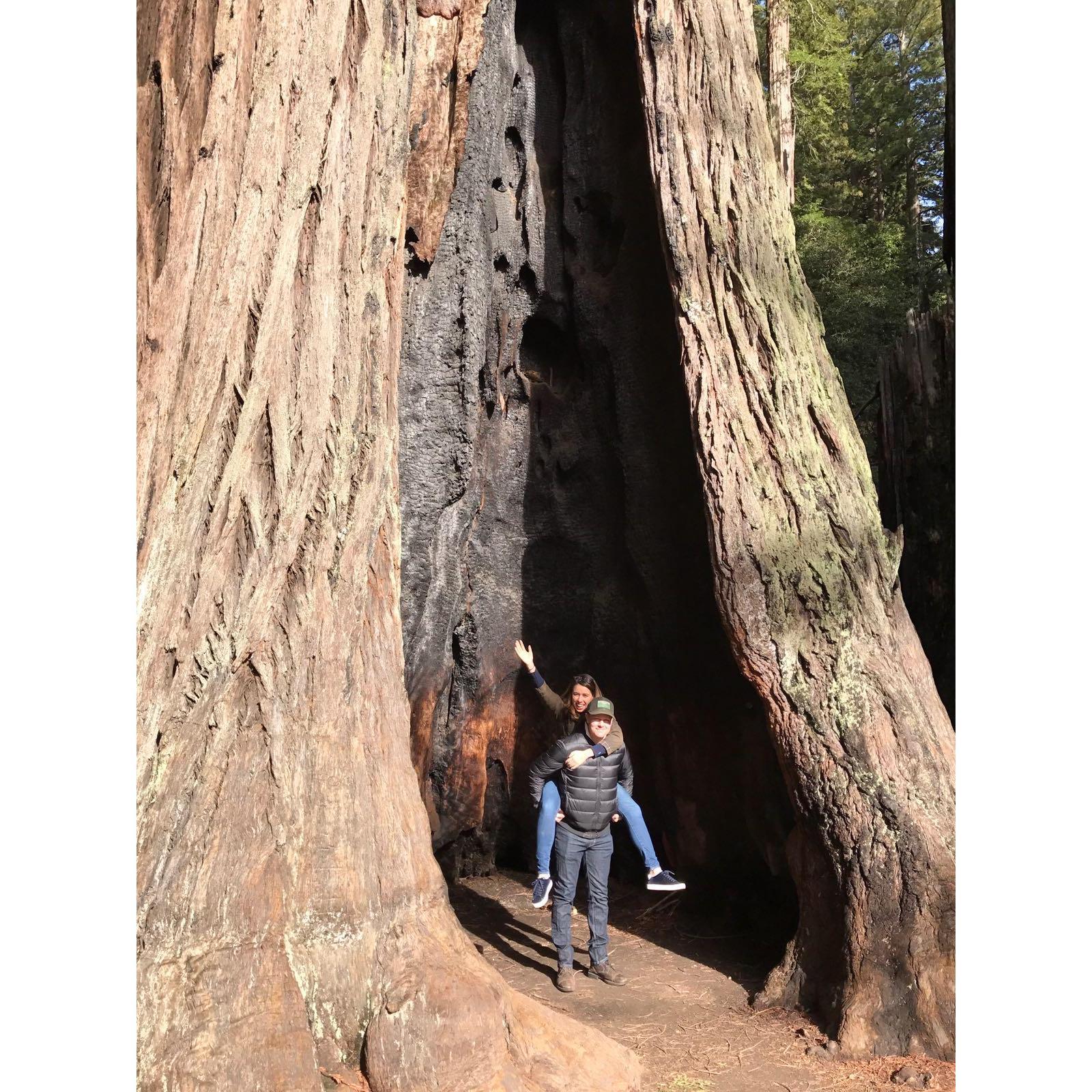 Two years after moving to California, we still love going back to the place we visited during our first trip.