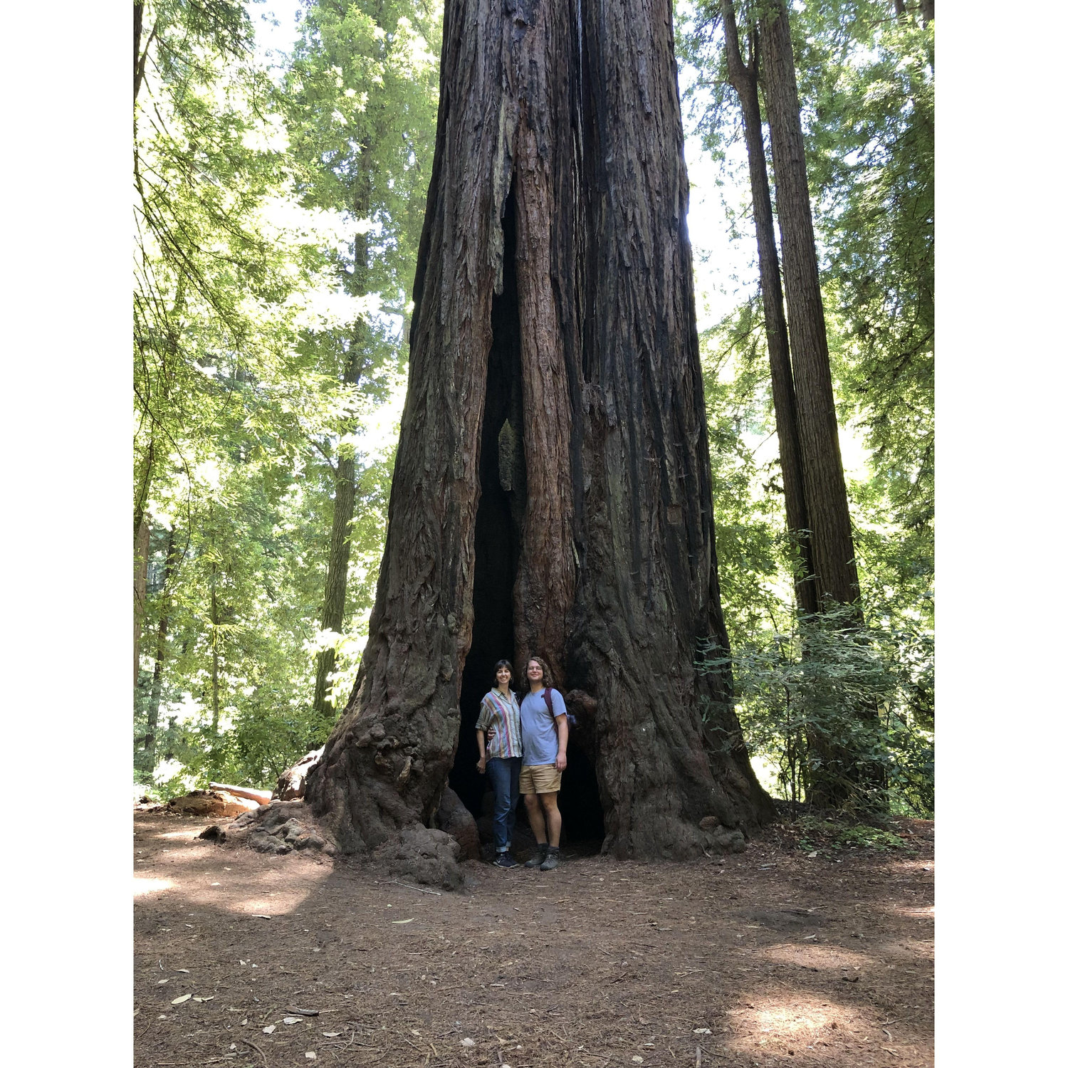 7/1/2022 - Admiring the redwoods while visiting Chris' parents in California.