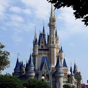 Disney World Honeymoon Fund