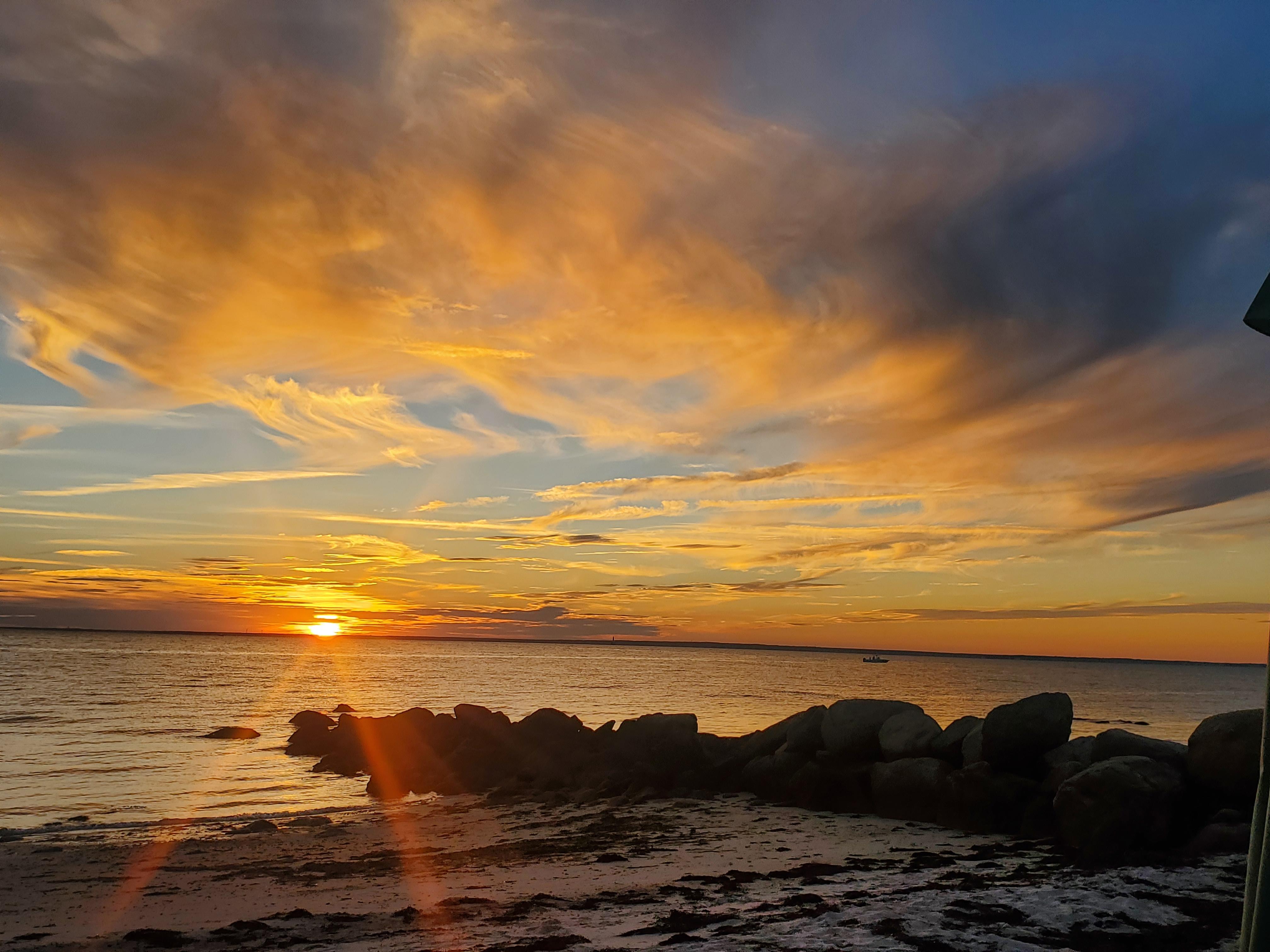 The Wedding Website of Anju Phillips and Michael Turbeville